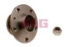 FAG 713 6304 10 Wheel Bearing Kit